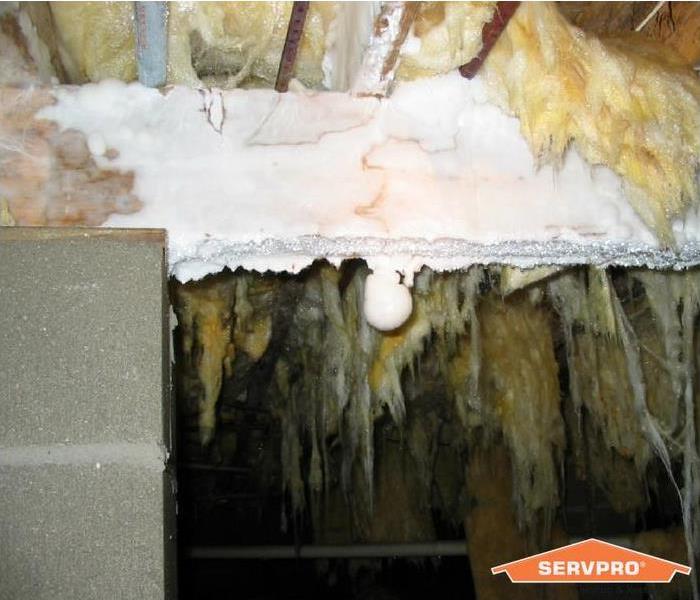 Mold that looks like snow in a crawlspace.