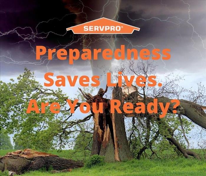A tornado behind a tree split in the middle with the words "Preparedness Saves Lives. Are You Ready?"